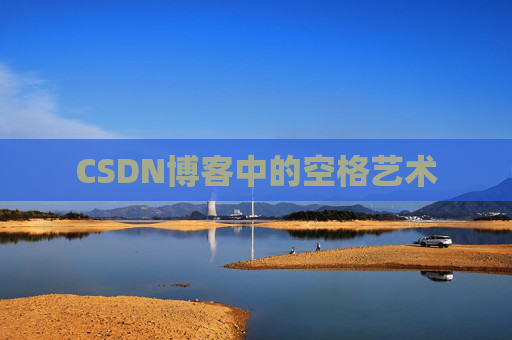 CSDN博客中的空格艺术